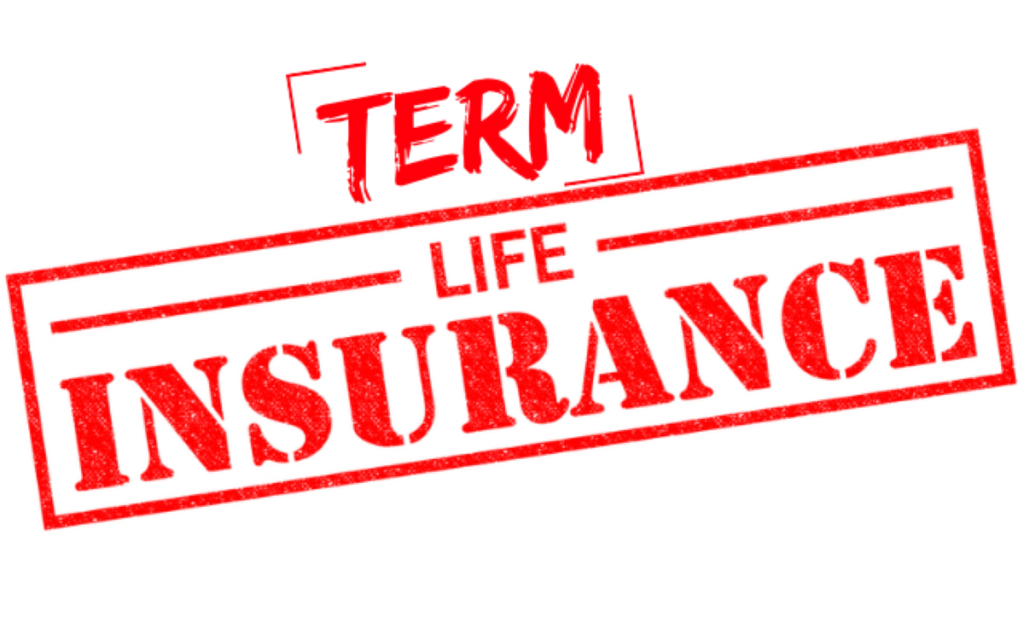 what is term life insurance