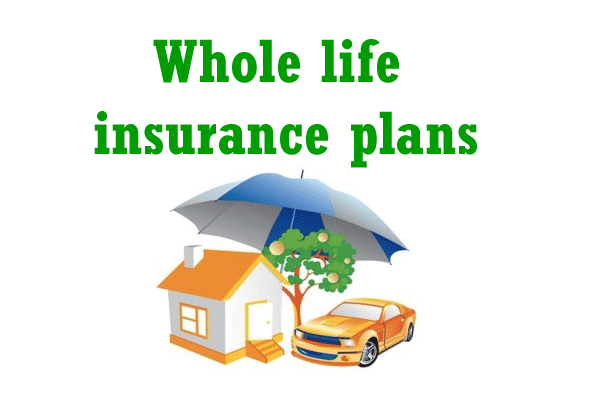 experienced agent A Simple Guide to Whole Life Insurance