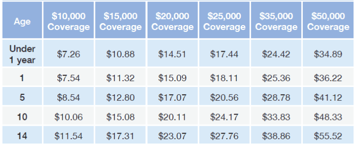 gerber A 2024 Guide To Gerber Life Insurance + Rates